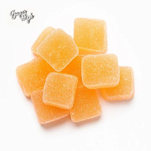 Pink Rose (Hybrid) - Image 2